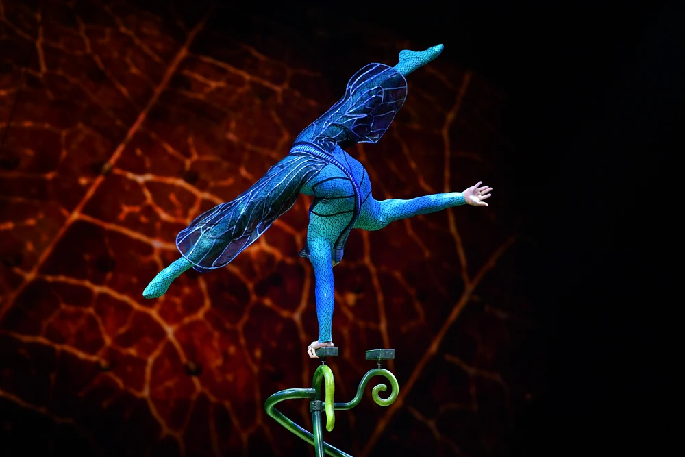 OvoHandbalancing2.webp