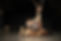 1268627_212879252220307_1192044996_o.jpg
