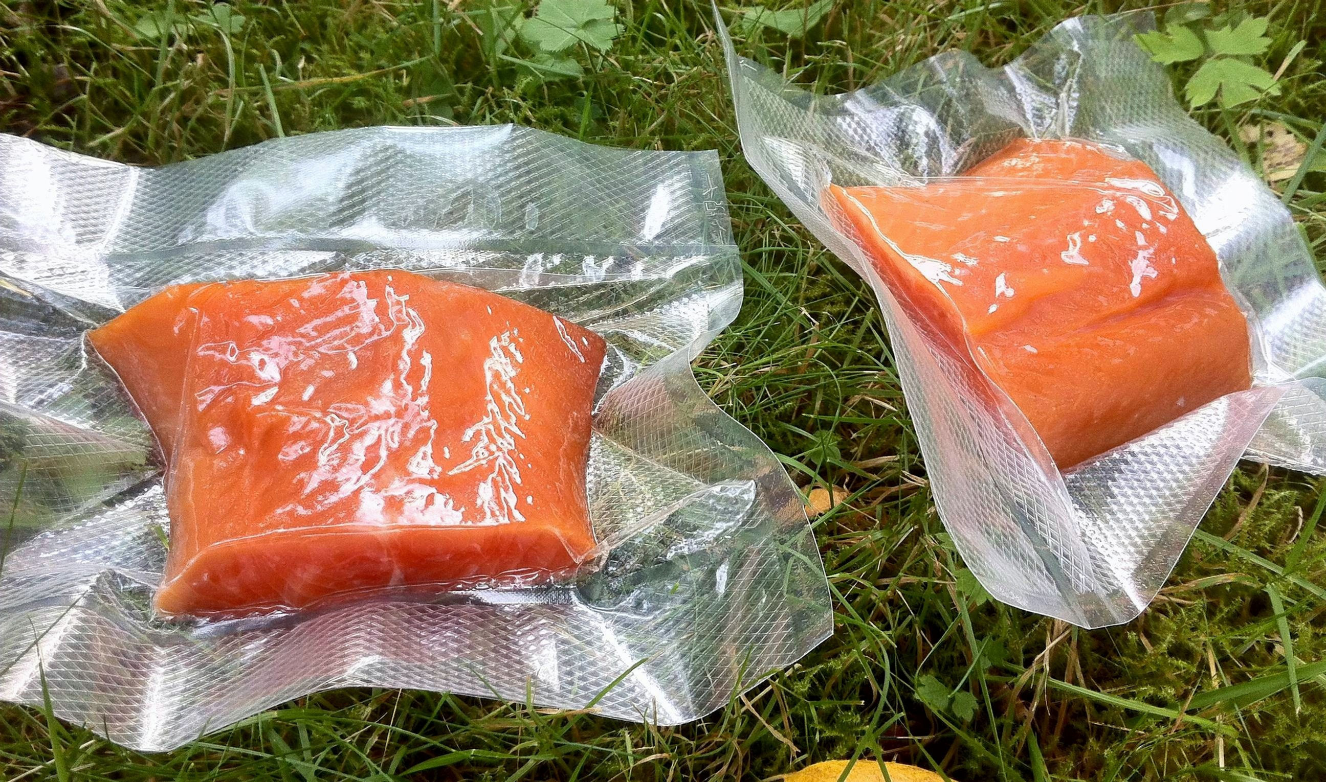 Vakuumpose 20x60 cm - matroyk.no