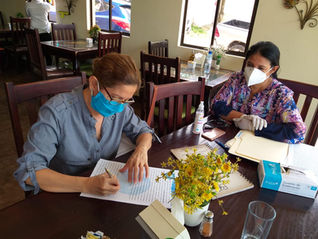 Sustainable Value Chain built around forestry