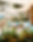 Digital 4 5-VSA-BAR-180924-12.jpg