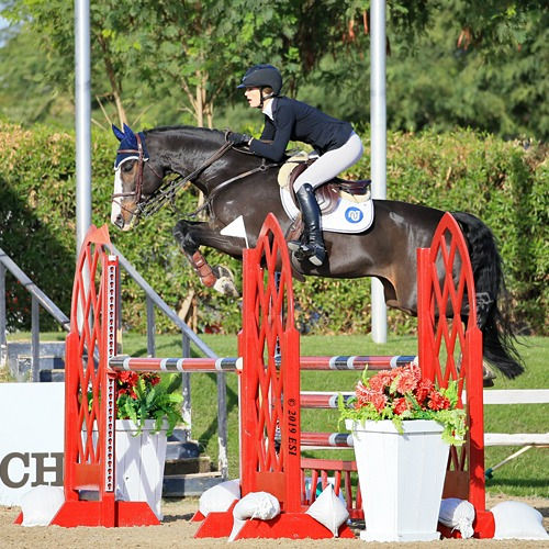 Aline Domaingo for Life Equestrian