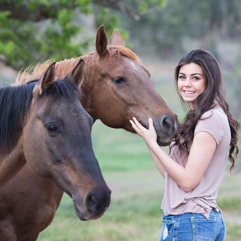 C | How to Bond with a Horse: 5 Useful Tips