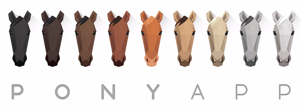 The PonyApp and Life Equestrian