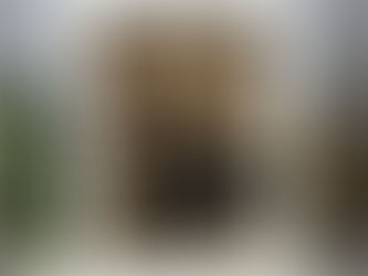 Put on Your Fancy Boots and Cowboy Hat and Celebrate