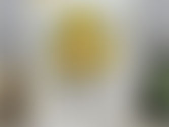 Happy Birthday to My Friend