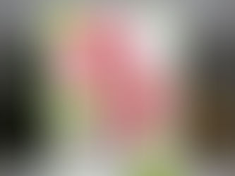 Best Wishes Pink Layered Blooms