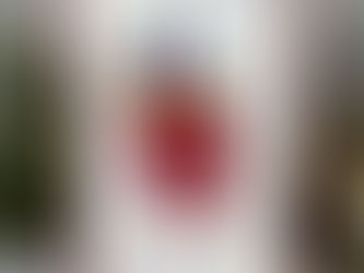 Birthday Wishes Cupcake