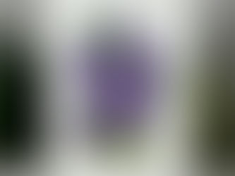 Periwinkle Flowers Enjoy Your Day