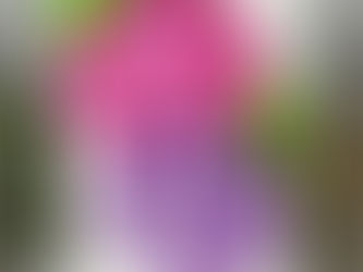 Lovely Layers Hydrangea Birthday Wishes