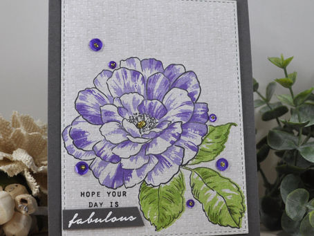 Hope Your Day is Fabulous