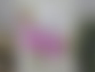 Happy Birthday Lovely Lady