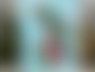 Nature’s Glory : You Deserve a Beautiful Day