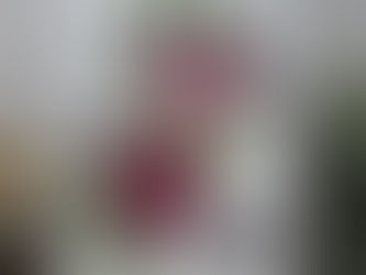 Friendly Flowers Happy Birthday