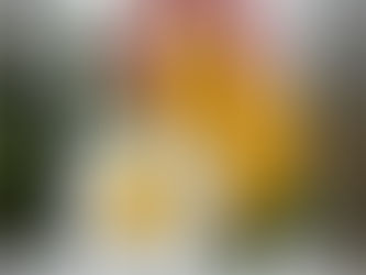 Colorful Gerbera Daisies - It's Your Day