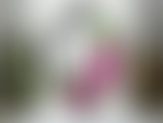 Hex-Gem Created Friendship Happy You Day