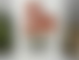 Cosmos Happy You Day