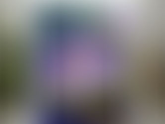 Lovely Layers Purple Water Lily Enjoy Your Day