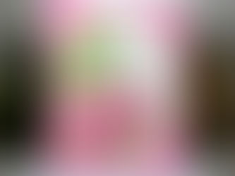 Hiana Flowers You Deserve a Beautiful Day