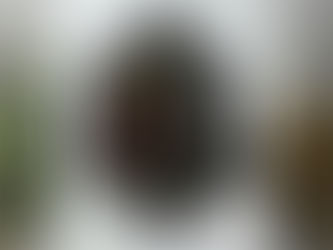 Hexi-Gem Bloom It’s Your Day