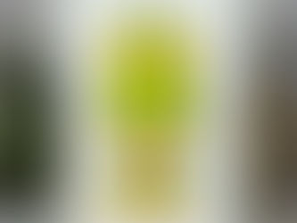 Fancy Cake Sweet Wishes