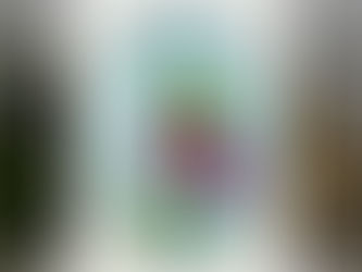 Sketchy Floral Have a Fabulous Birthday