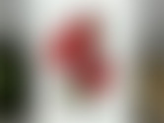 Himalayan Poppy Cards