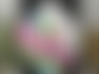 Hex-Gem Create Friendship Birthday Wishes