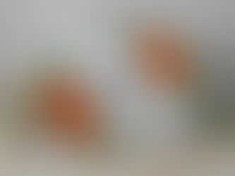 A Wonderful Day to Celebrate You