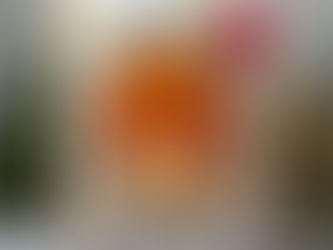 Have a Squishy Birthday Ro