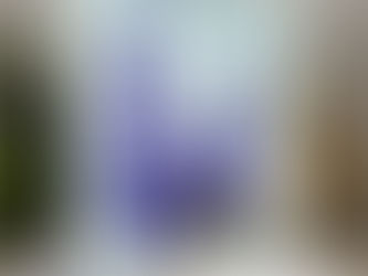 Lovely Lilacs Enjoy: It’s Your Day