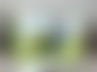 Lawn Mower Guy - It's Not the Years