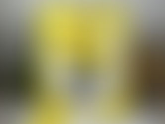 Yellow Daisies It’s Your Day