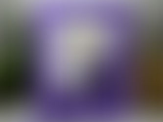 The Day is all Yours…Enjoy it!