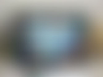 Tropical Fish Shaker for Troy