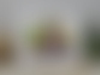 Happy Birthday Chocolate Therapy