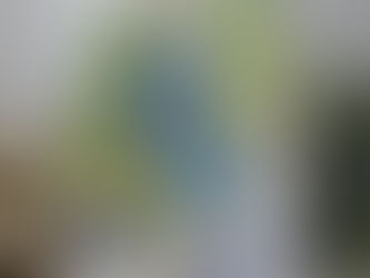 Happy Birthday to a Delightful Daughter