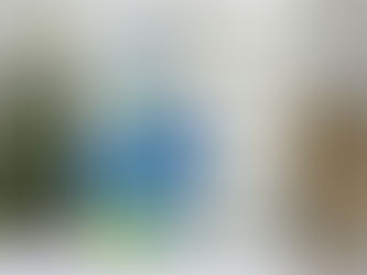 Blue Poppies Happy Birthday