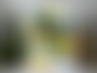 Confetti Balloons Happy Birthday