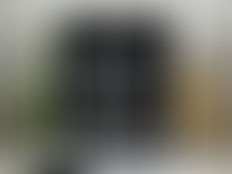 Party Balloons Birthday Wishes