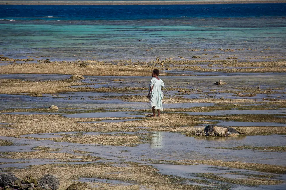 Pelé, mi paraÃso I 34' I Ecuador, USA