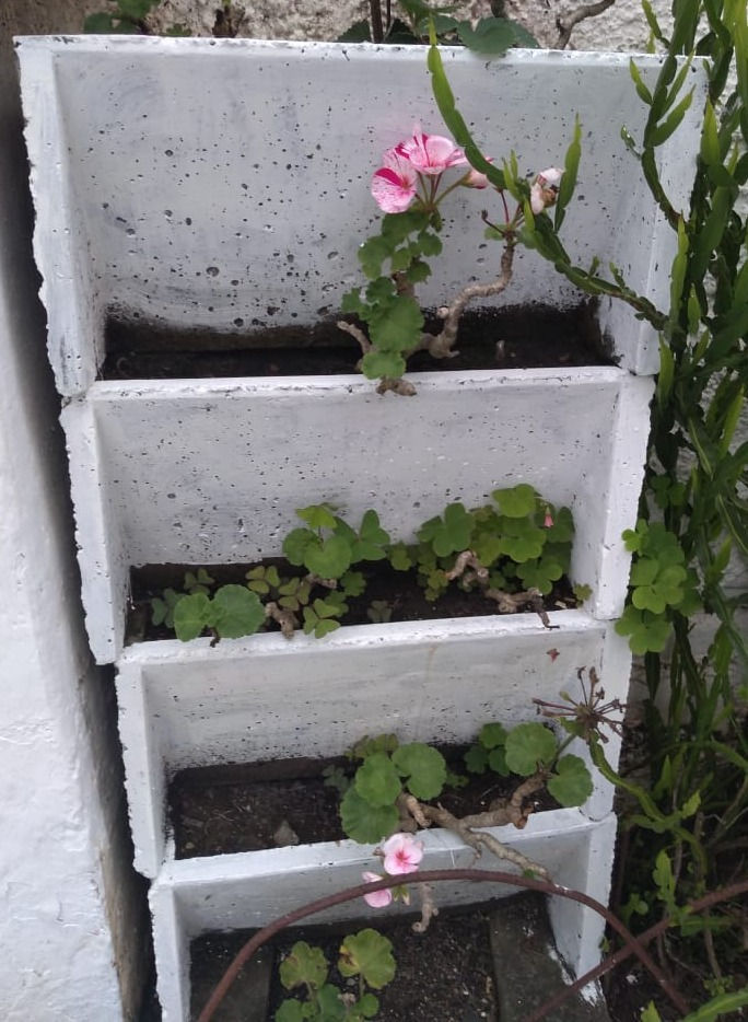 Miniatura: Muro Ecológico 40x20x15cm UN