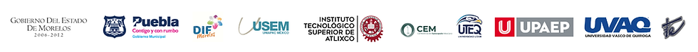 Banner para LinkedIn Desarrollador Web Programador Elegante Minimalista Blanco y Negro.png