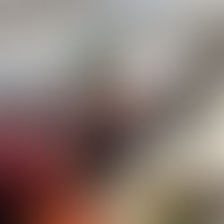 Camp d'hiver - Louvettes