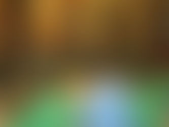 Camp d'hiver - Castors