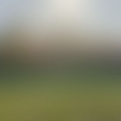 Cueillette de pommes - 2025