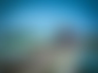 Pályaválasztási gyorsvonat