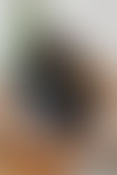 Két jogászhallgató - két rossz döntés?!