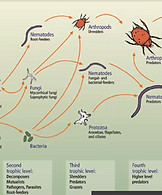 Screenshot 2020-11-11 at 3.42.02 PM.png