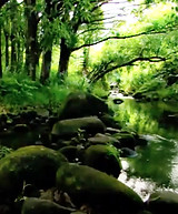 Screenshot%202020-10-27%20at%204.01_edit